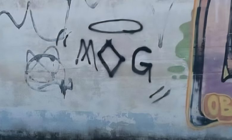 Suspeito de realizar pichações em cidades do Alto Vale do Itajaí é identificado e indiciado