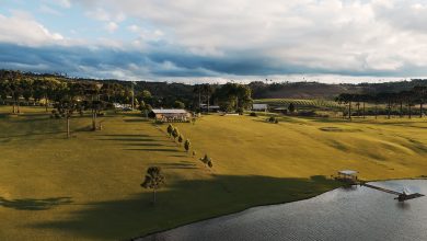 Vinícola Villaggio Grando recebe R$ 50 milhões e se prepara para novo complexo de luxo em SC
