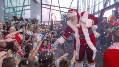 Natal Pet encanta no Norte Shopping com o tema “Melhor Amigo”