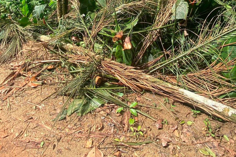 Intendente da Vila Itoupava é convocado pela Câmara após novas denúncias de ''crime ambiental'' e uso indevido de bens públicos