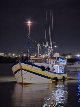 60 toneladas de peixe são apreendidas em SC; 14 presos por pesca ilegal