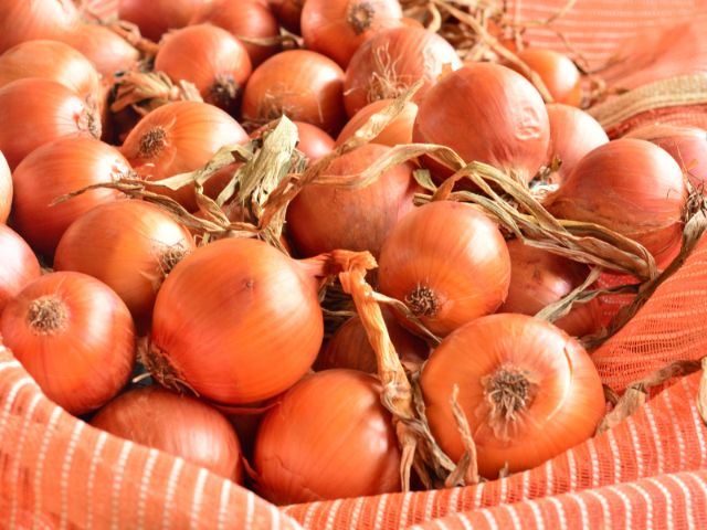 Santa Catarina bate recordes e se consolida como potência do agronegócio brasileiro