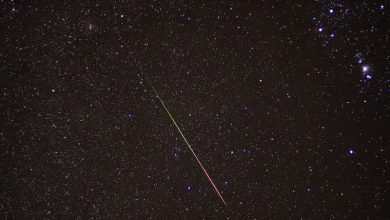 Chuva de meteoros Orionídeas terá pico esta semana com excelente visibilidade no Brasil
