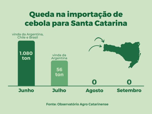 Produção de cebola em Santa Catarina deve atingir 594 mil toneladas na safra 2025/26; aumento será o maior dos últimos anos
