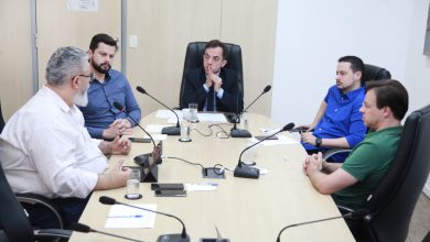 Comissão Especial da Câmara de Blumenau discute revisão da legislação cultural e futuro do edital Herbert Holetz