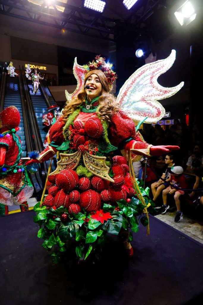 Musical “TEMPO” promete emocionar o público no Natal em Blumenau 2025