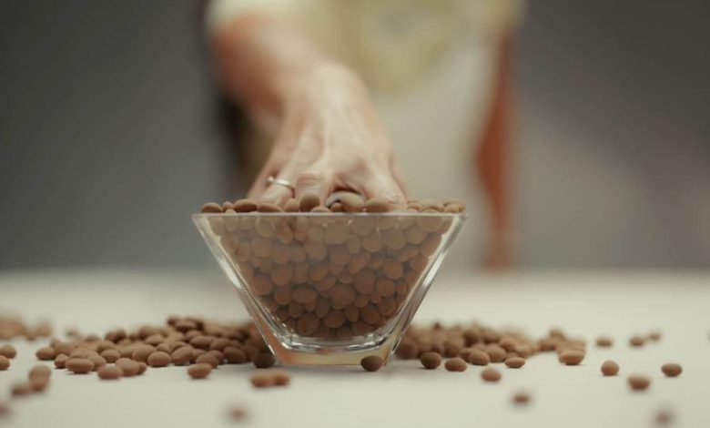 Chocolates catarinenses conquistam medalha em concurso britânico e reforçam presença no mercado premium