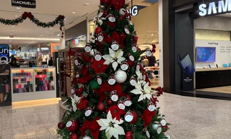 Árvore Solidária arrecada brinquedos no Norte Shopping e promete transformar o Natal de crianças em Blumenau