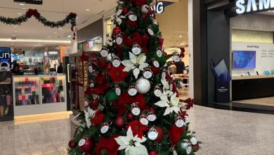 Fim de semana no Norte Shopping tem música, pets, Mileninha e solidariedade