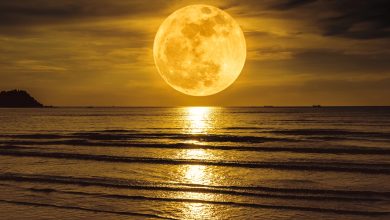 Maior Superlua de 2025 vai transformar o céu nesta quarta; veja quando e por que ela impressiona