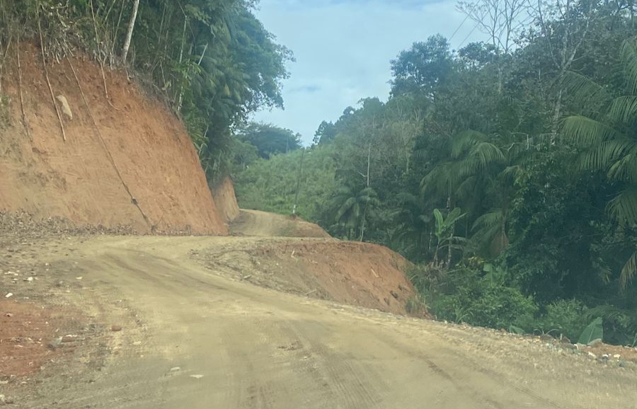 MP apura denúncia de desmatamento e uso de máquinas da Prefeitura em obra particular em Blumenau