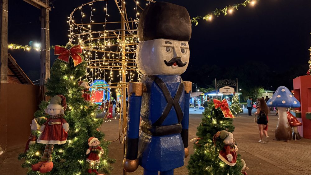 Noite mágica: Timbó abre o Natal + Encantado com brilho, música e grande público