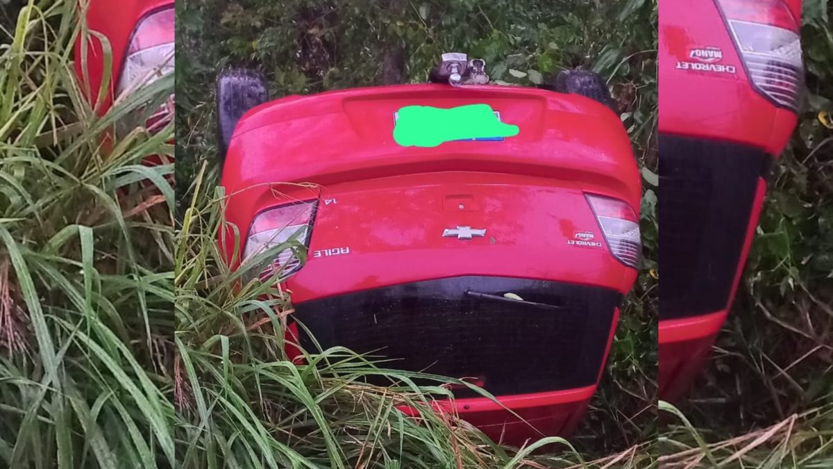 Motorista abandona veículo após capotamento na BR-470 em Rodeio