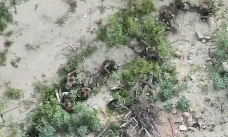 Imagens inéditas mostram ação intensa da polícia no RJ durante operação contra o CV