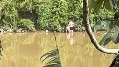 Ato de coragem: morador mergulha no rio Itajaí-Açu e salva mulher que pulou da ponte em Gaspar