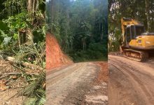 MP apura denúncia de desmatamento e uso de máquinas da Prefeitura em obra particular em Blumenau