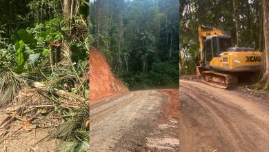 MP apura denúncia de desmatamento e uso de máquinas da Prefeitura em obra particular em Blumenau