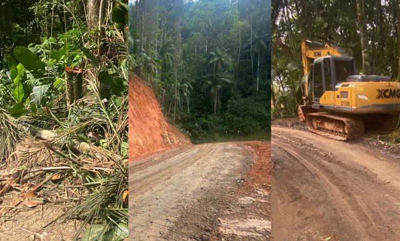 MP apura denúncia de desmatamento e uso de máquinas da Prefeitura em obra particular em Blumenau