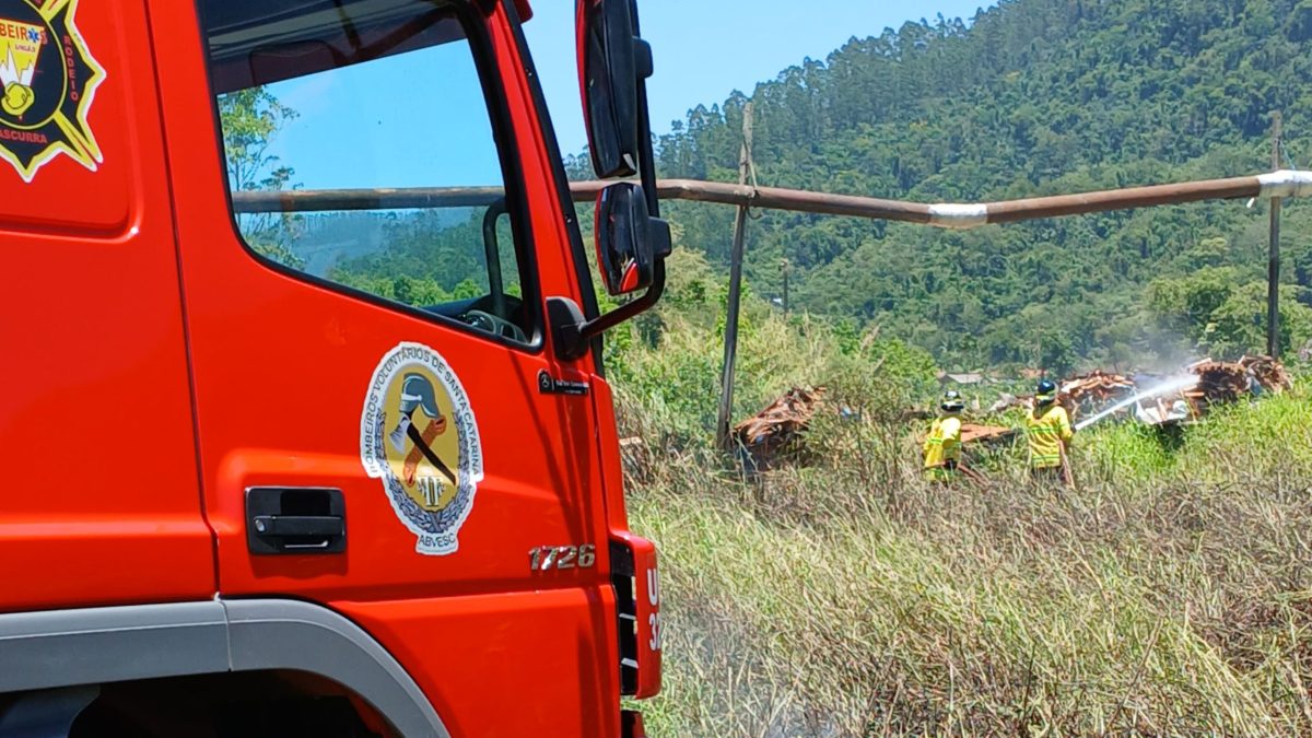 Funcionários de madeireira controlam incêndio em vegetação, em Rodeio