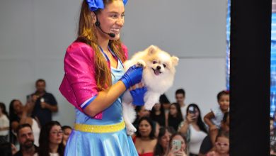 Norte Shopping recebe youtuber Mileninha para show gratuito neste domingo em Blumenau