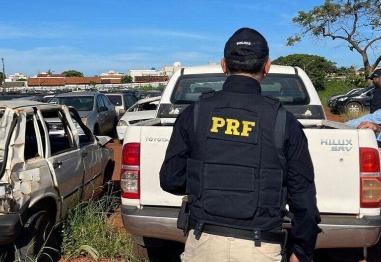 PRF anuncia leilão com mais de 650 veículos retidos em rodovias federais de SC