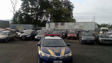 PRF anuncia leilão com mais de 650 veículos retidos em rodovias federais de SC