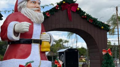 “Natal + Encantado”: Timbó dá início à programação com decoração especial na cidade
