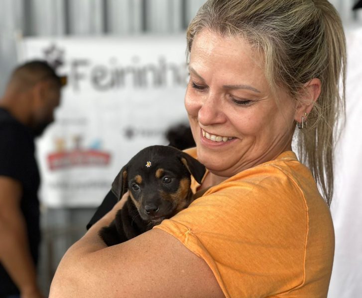 12ª Feirinha Beneficente “Amigo do Bicho” vai apoiar protetora de gatos de Timbó