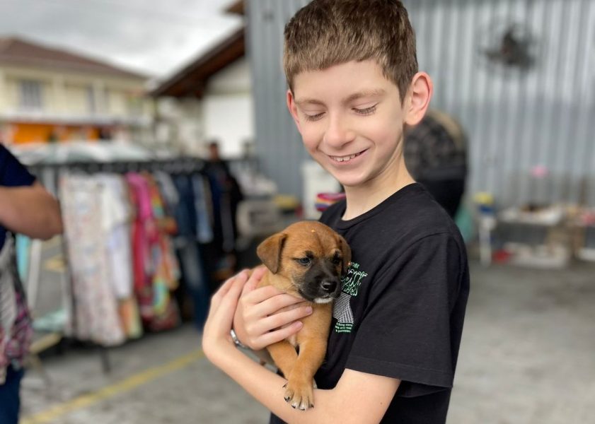 12ª Feirinha Beneficente “Amigo do Bicho” vai apoiar protetora de gatos de Timbó