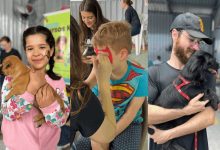 12ª Feirinha Beneficente “Amigo do Bicho” vai apoiar protetora de gatos de Timbó