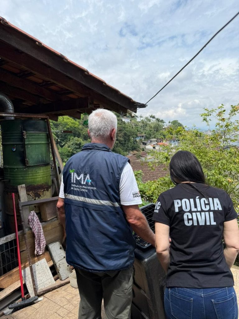 Homem é preso em Blumenau por maus-tratos a macaco-prego e uso de documento falso