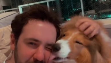 Cachorrinha “pede desculpas” com beijo e vídeo emocionante conquista as redes