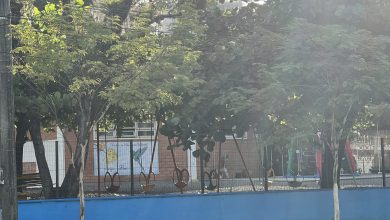 NEIs Sonho da Criança, Beija-Flor e Luar Encantado funcionarão em plantão no início de janeiro