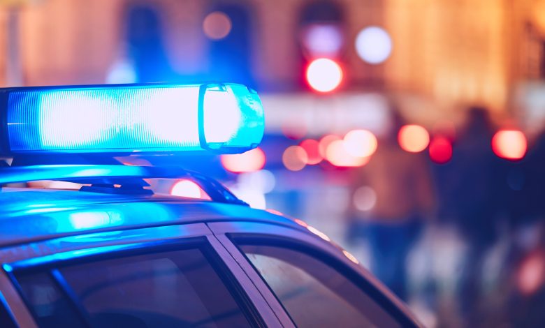 Mulher é detida após agredir a mãe e soltar pitbull para atacar policiais em Blumenau; um PM ficou ferido
