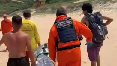 Banhista bate de frente com capivara ao mergulhar em lagoa de praia em SC e é mordida pelo animal
