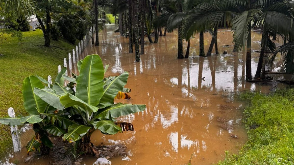 Defesa Civil de Timbó monitora áreas alagadas após chuva diminuir e avalia situação de moradores