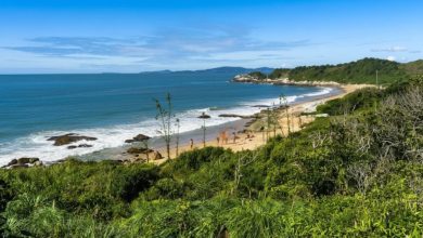 Prefeitura de Balneário Camboriú revoga autorização para naturismo na Praia do Pinho