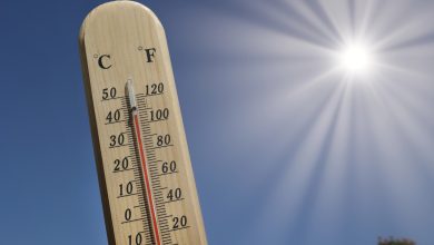 Verão inicia com calorão e temperaturas acima dos 30 °C em Santa Catarina