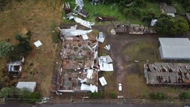 Primavera de 2025 em SC teve frio fora do padrão e eventos extremos; verão deve ter calor e chuvas irregulares