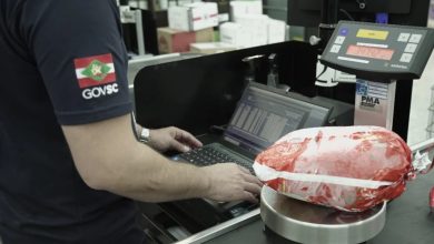 Operação em SC identifica irregularidades em produtos natalinos e retira itens fora das normas do mercado