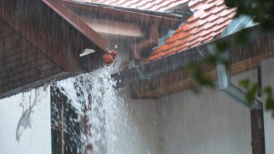 Defesa Civil alerta: Natal em Santa Catarina terá calor intenso e risco de temporais isolados