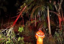 Prefeitura de Timbó intensifica ações para reparar danos e liberar vias após as chuvas