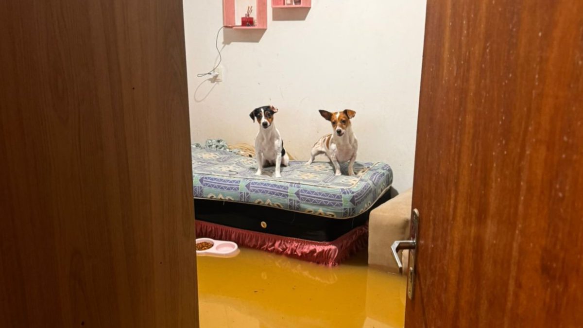 Chuvas intensas causam desalojamentos e desmoronamentos em Timbó