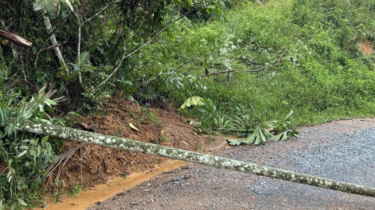 Equipes da Prefeitura de Timbó trabalham para liberar estradas na localidade da Mulde após temporais