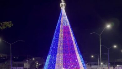 Árvore gigante em formato de Nossa Senhora Aparecida vira destaque da decoração natalina em Pouso Alegre
