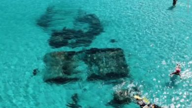 Praia Grande, Arraial do Cabo, atrai mergulhadores para naufrágio em águas transparentes