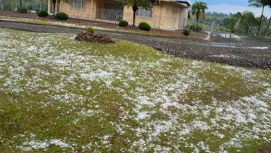 Governo Federal reconhece situação de emergência em Braço do Trombudo, em Santa Catarina, após granizo