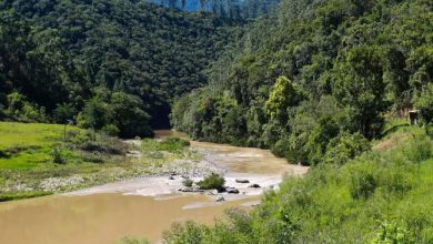 TCE de Santa Catarina suspende licitação milionária para barragem no Vale do Itajaí