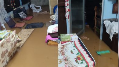 Idosa de 80 anos é retirada de casa pela Defesa Civil após residência ficar alagada