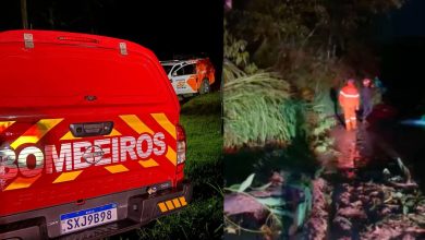 Deslizamento de terra e queda de árvores deixam moradores ilhados no bairro Mulde, em Timbó